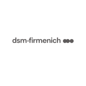 DSM